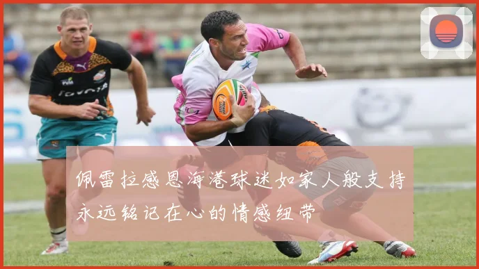佩雷拉感恩海港球迷如家人般支持永远铭记在心的情感纽带