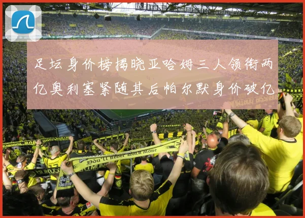 足坛身价榜揭晓亚哈姆三人领衔两亿奥利塞紧随其后帕尔默身价破亿