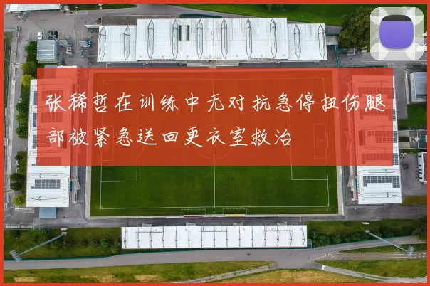 张稀哲在训练中无对抗急停扭伤腿部被紧急送回更衣室救治