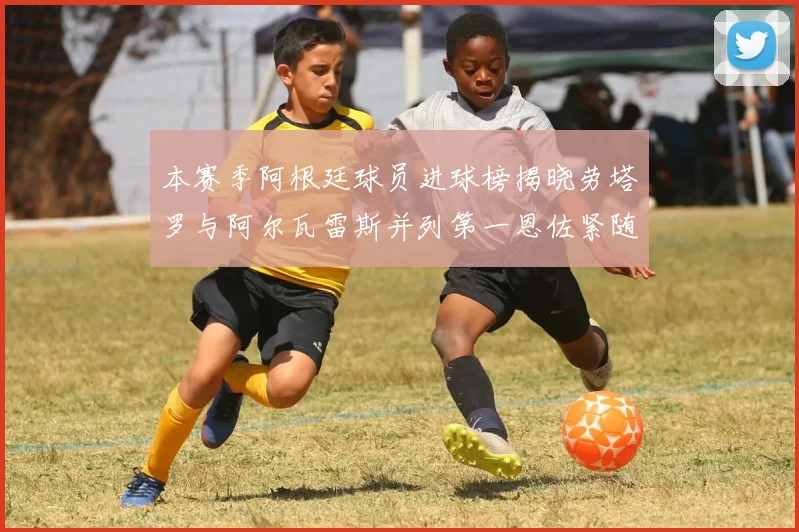 本赛季阿根廷球员进球榜揭晓劳塔罗与阿尔瓦雷斯并列第一恩佐紧随其后